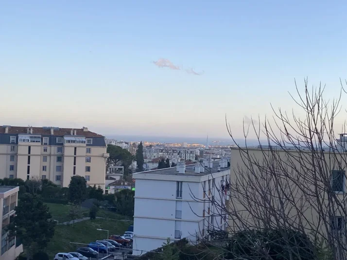 Vista
